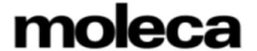 moleca-atacado