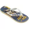Chinelo Feminino Havaianas Top Warner Classics - Atacado