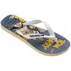 Chinelo Masculino Havaianas Top Warner Classics - Atacado