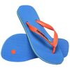 Chinelo Masculino Havaianas Brasil Logo - Atacado