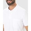 Camisa Polo Malwee Básica Masculina Gola Esporte Em Algodão 100004429 - Atacado