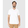 Camisa Polo Malwee Básica Masculina Gola Esporte Em Algodão 100004429 - Atacado
