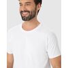 Camiseta Malwee Original Masculina Decote Redondo Em Algodão 1000015037 - Atacado