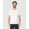 Camiseta Malwee Original Masculina Decote Redondo Em Algodão 1000015037 - Atacado