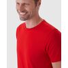 Camiseta Malwee Original Masculina Decote Redondo Em Algodão 1000015037 - Atacado