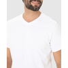 Camiseta Básica Malwee Masculina Gola V Em Algodão 1000004422 - Atacado