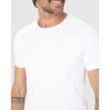 Camiseta Malwee Original Masculina Decote Redondo Em Algodão 1000004423 - Atacado