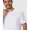 Camiseta Ícone Malwee Masculina Bordado Algodão 1000133945 - Atacado