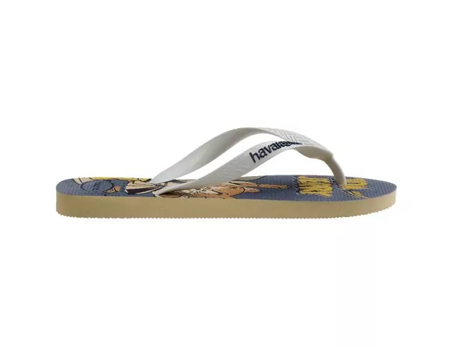 Chinelo Feminino Havaianas Top Warner Classics - Atacado