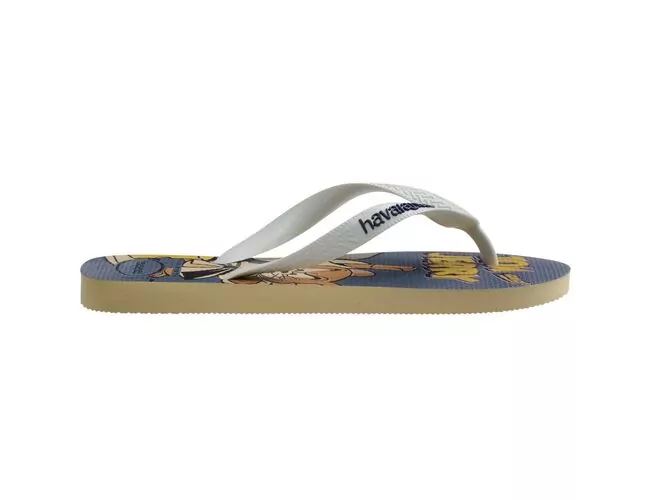 Chinelo Masculino Havaianas Top Warner Classics - Atacado
