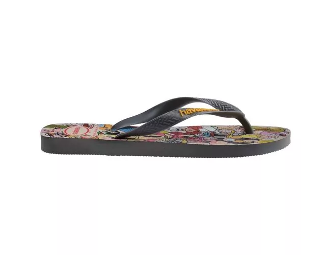 Chinelo Masculino Havaianas Top Warner Classics - Atacado