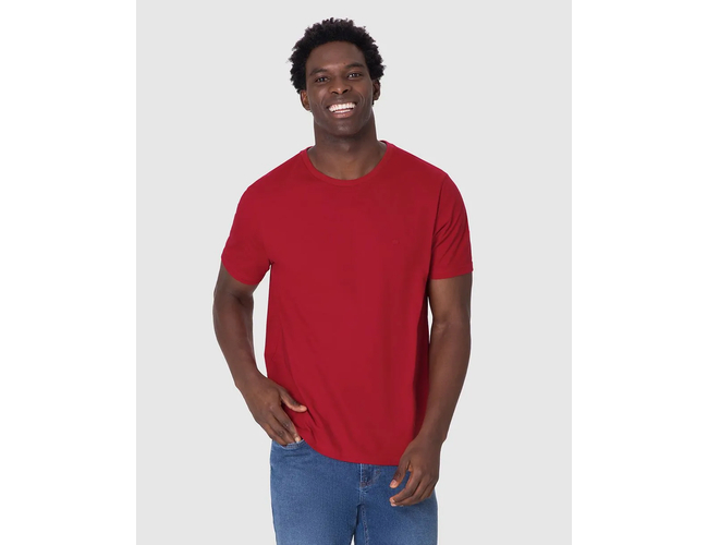 Camiseta Ícone Malwee Masculina Bordado Algodão 1000133945 - Atacado
