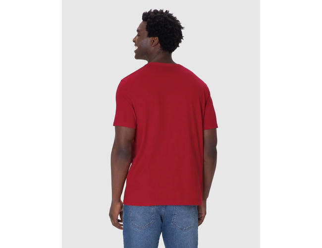 Camiseta Ícone Malwee Masculina Bordado Algodão 1000133945 - Atacado