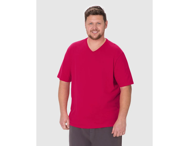 Camiseta Básica Malwee Masculina Plus Size Decote V Manga Curta Em Algodão 1000137166 - Atacado