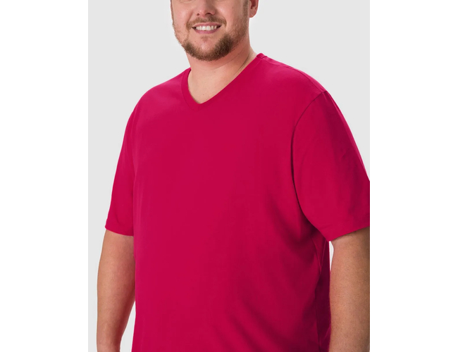 Camiseta Básica Malwee Masculina Plus Size Decote V Manga Curta Em Algodão 1000137166 - Atacado