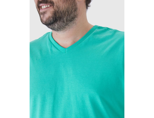Camiseta Básica Malwee Masculina Plus Size Decote V Manga Curta Em Algodão 1000137166 - Atacado