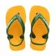 Chinelo Havaianas New Baby Brasil Logo - Atacado